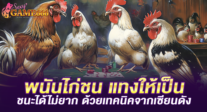 พนันไก่ชน แทงให้เป็น ชนะได้ไม่ยาก ด้วยเทคนิคจากเซียนดัง